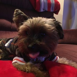 Meet your Posher, Rhonda